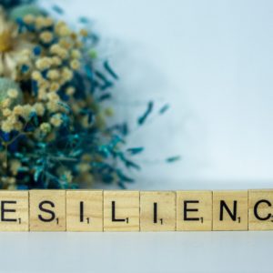 Inner and Outer Resilience