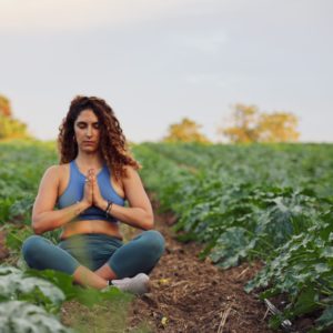 Mindfulness Workshop
