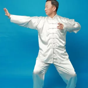 QIGONG-GATEWAY TO CHINESE WELLNESS