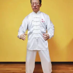 DESKERCISE-WORLD HERITAGE-TAI CHI