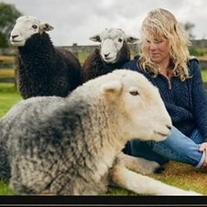Mindful Meditation with Sleepy Sheep